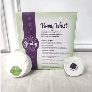 DISCONTINUED Berry Blast Scentsy Warmer - NEW IN BOX